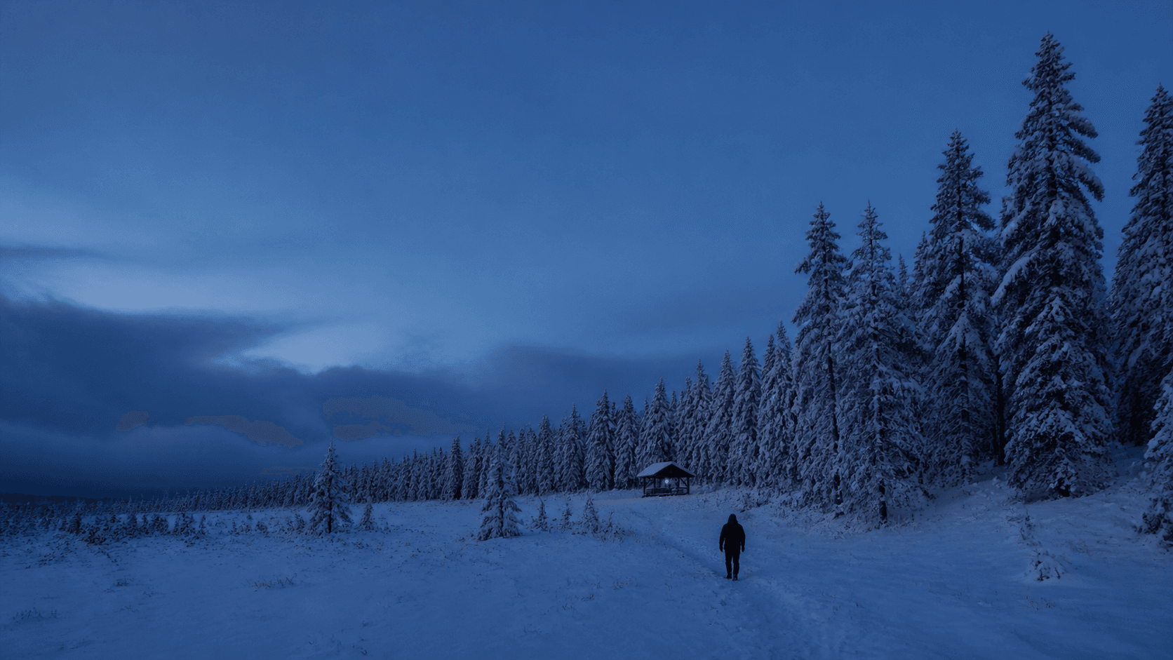藍調時刻的雪林,一個人走向遠處暖光